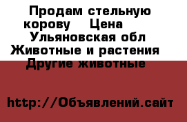 Продам стельную корову. › Цена ­ 70 - Ульяновская обл. Животные и растения » Другие животные   